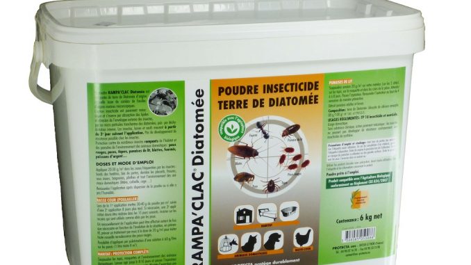 Terre-de-diatomée-un-anti-puces-naturel